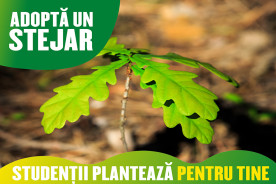 Adopta un stejar impreuna cu URBAN BAG si Studentii Planteaza